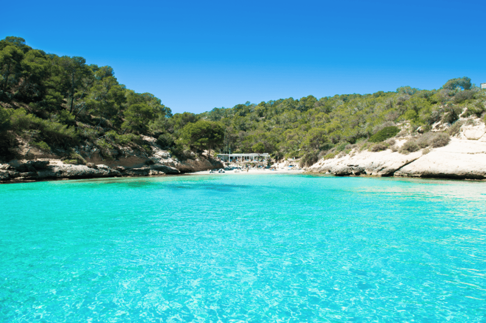 From Palma: Portal Vells Beach and Cave SUP & Snorkel Tour - Playa/Platgeta de Portals Vells: snorkeling and SUP without the hassle