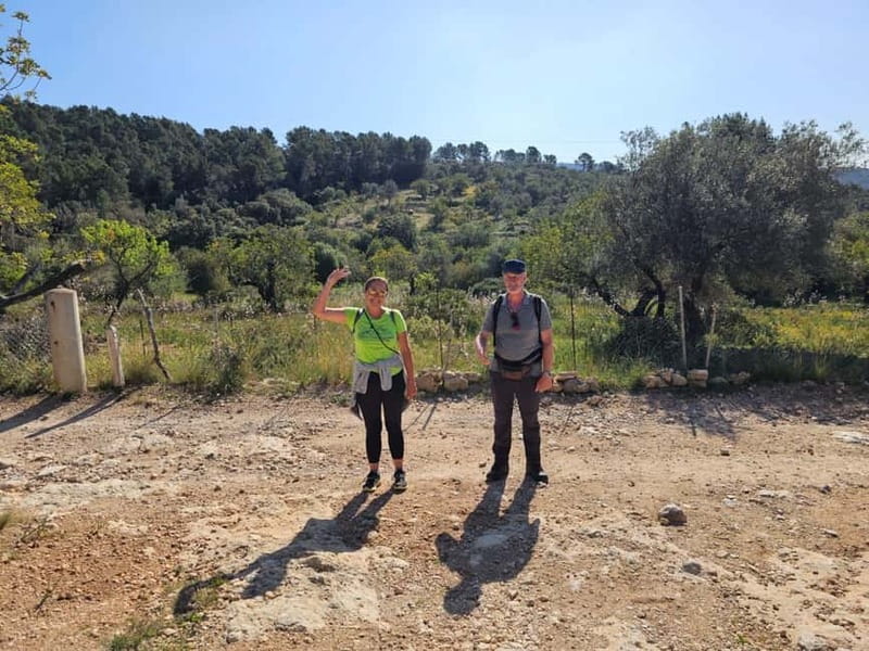 From Palma: Sierra de Tramuntana Hiking with small Picnic - Price and Value: Is $93 Fair for Four Hours in Tramuntana?