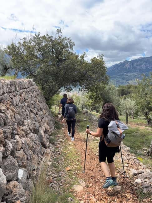 From Palma: Sierra de Tramuntana Hiking with small Picnic - Sierra de Tramuntana and GR221: Why This Is More Than a Walk