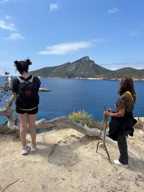 From Palma: Sierra de Tramuntana Hiking with small Picnic - Wild Goats, Photos, and Those Small Extras That Make the Day Feel Personal