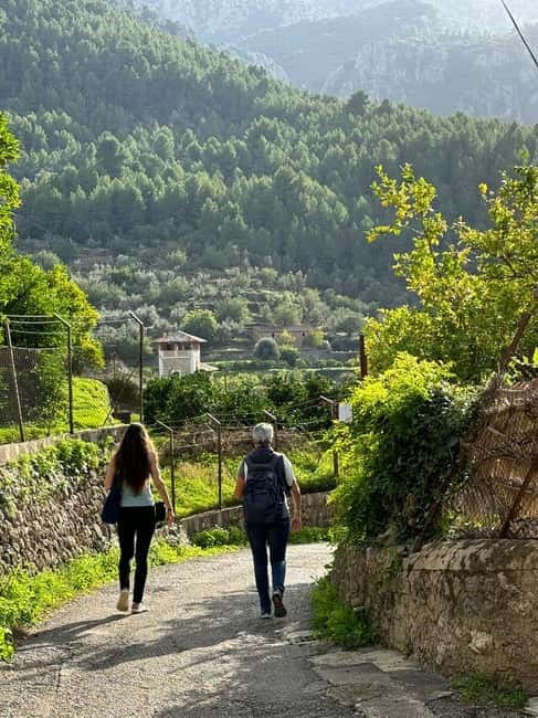 From Palma: Sierra de Tramuntana Hiking with small Picnic - Getting From Palma Into the Mountains (Without the Stress)