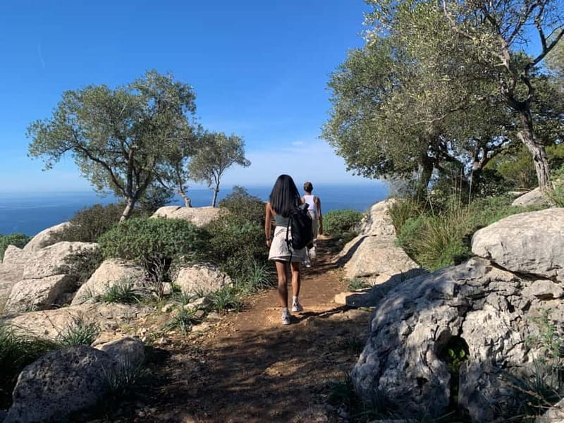 From Palma: Valldemossa Tour and Mountain Viewpoint Hike - From Palma to Valldemossa’s Heights Without Stress