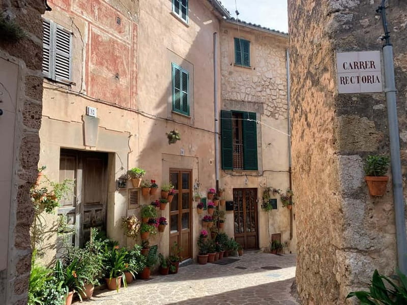From Palma: Valldemossa Tour and Mountain Viewpoint Hike - Who Should Book This Valldemossa Tour, and Who Might Want Alternatives
