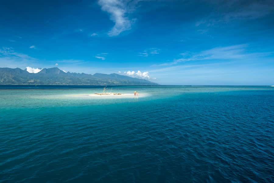 From Papeete: Tahiti Highlights Full-Day Private Tour - Vaipahi Water Gardens: a calmer walk through Polynesian plants