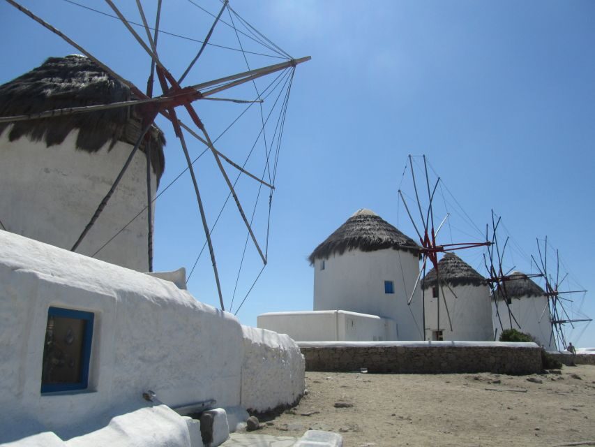From Paros: Delos and Mykonos Full-Day Boat Trip - Who this trip suits best (and who should rethink it)