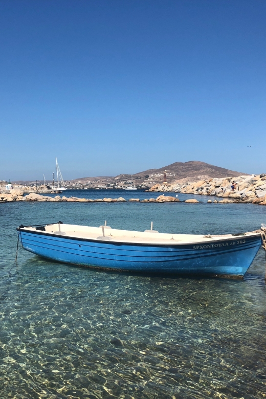 From Paros: Mykonos Full-Day Trip by Catamaran - Should you book the Paros to Mykonos catamaran day trip?