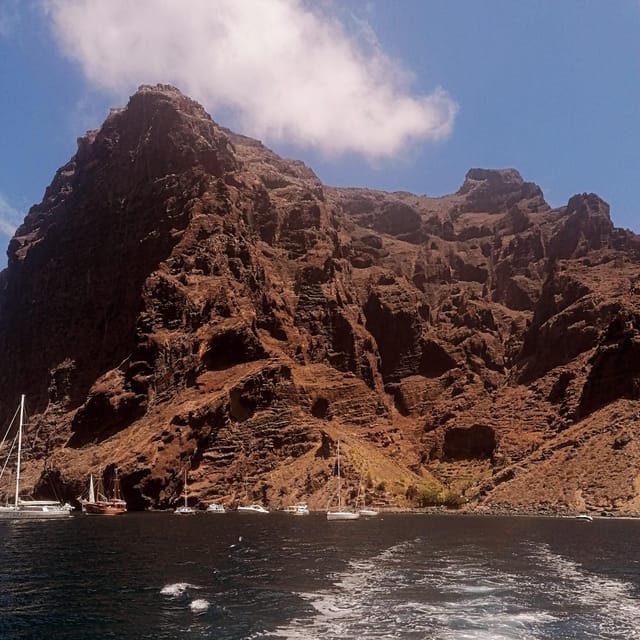 From Playa San Juan: Whale Watching, Gigantes, and Masca Bay - Masca Cove swimming and snorkeling (plus lunch onboard)