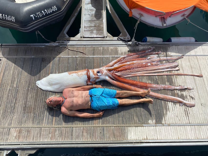 From Playa San Juan: Whale Watching, Gigantes, and Masca Bay - The science talk: why the guide’s explanation improves the whole cruise