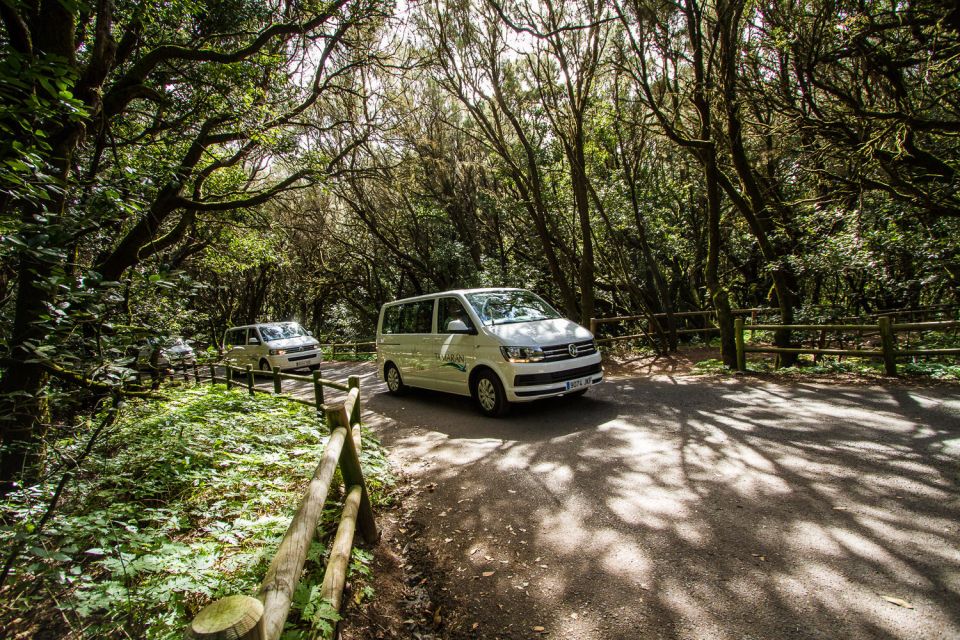 From Puerto de La Cruz: Full-Day Vip Tour to Gomera - Practical tips before you go from Puerto de la Cruz
