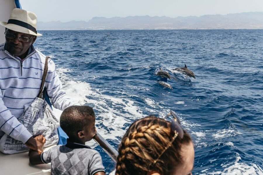 From Puerto Rico de Gran Canaria: Dolphin Watching Cruise - Seasickness and Cold Water: How to Make the Atlantic Trip Feel Easier