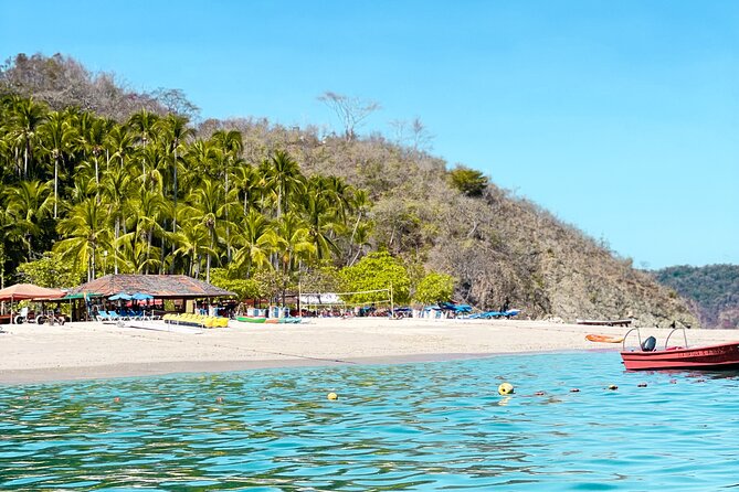 From Puntarenas: Turtle Island Day Tour - Price and value for $80: what you’re really paying for