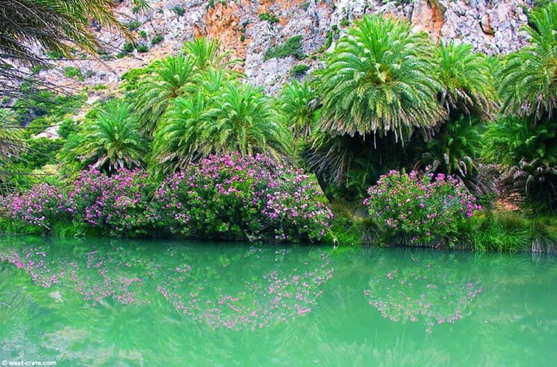From Rethymno/Chania: Day Trip to Preveli Palm Beach - Preveli Palm Beach: Swimming, Walking, and That Cold-Soaked Reality