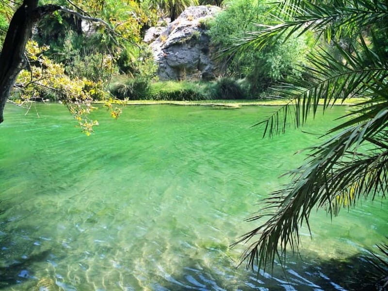 From Rethymno/Chania: Day Trip to Preveli Palm Beach - What You’ll Sense on This Day Trip: Guides, Local Flavor, and Small Surprises