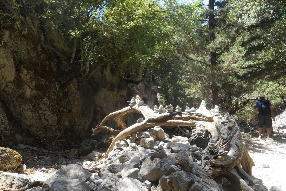 From Rethymno/Chania: Imbros Gorge Hike - Key moments you’ll care about