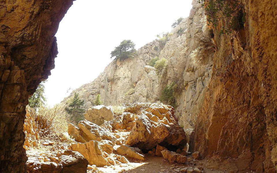 From Rethymno/Chania: Imbros Gorge Hike - Food on the coast: simple, local, and easy