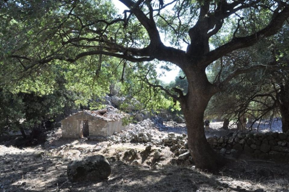 From Rethymno/Chania: Imbros Gorge Hike - Should you book Imbros Gorge from Rethymno and Chania?