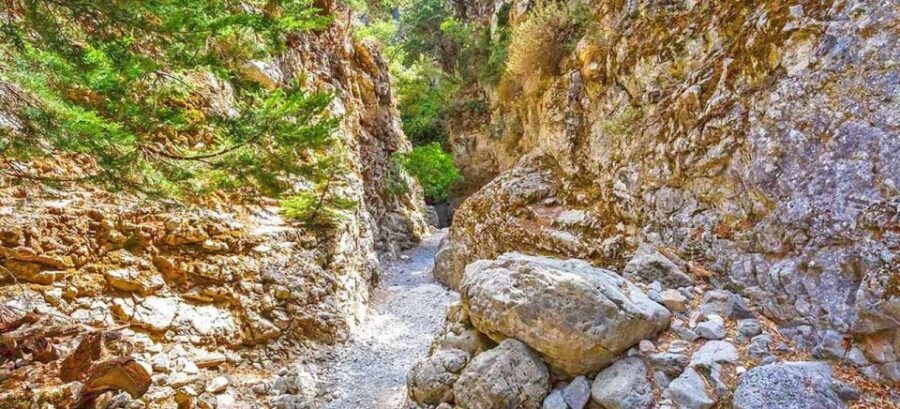 From Rethymno: Imbros Gorge & Libyan Guided Sea Tour - Rethymno to Imbros Gorge: Why This Day Works