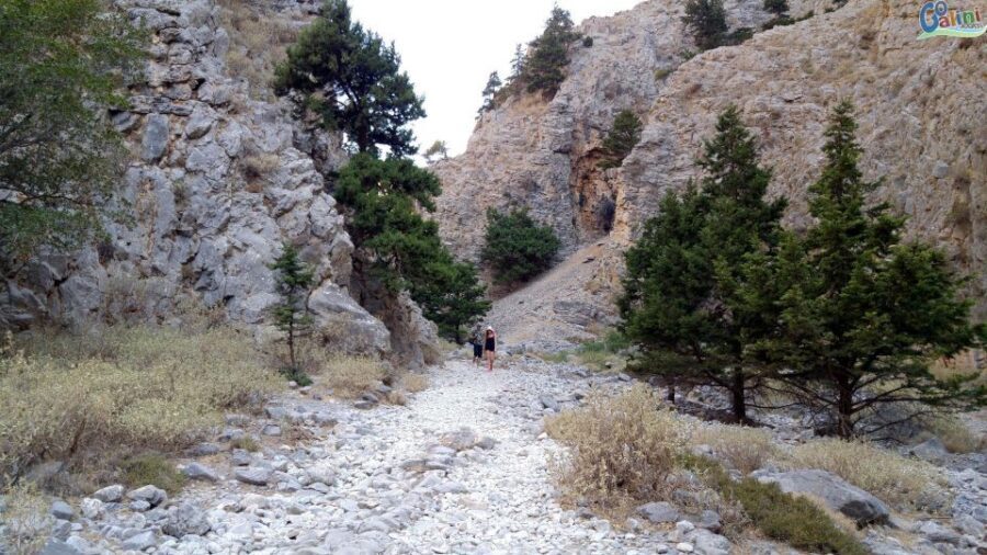 From Rethymno: Imbros Gorge & Libyan Guided Sea Tour - Komitades Village Transfer: A Smart Reset Before the Sea