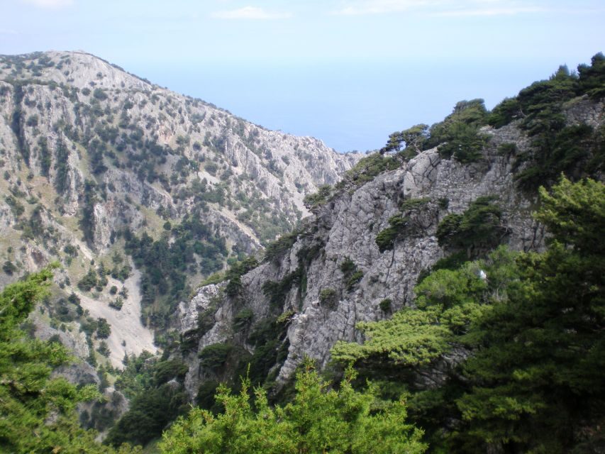 From Rethymno: Imbros Gorge & Libyan Guided Sea Tour - Chora Sfakion Time: Taverns, Cafés, and Where to Spend Your Energy