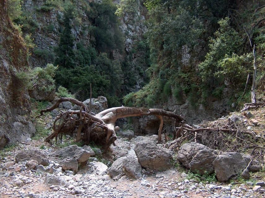 From Rethymno: Imbros Gorge & Libyan Guided Sea Tour - Libyan Sea Swim: Cooling Off Without Turning It Into a Big Production