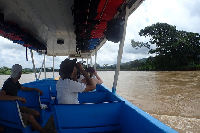 From San José: Carara National Park and Tárcoles River Tour - Carara National Park: the hike that turns the canopy into the main character