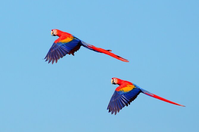 From San José: Carara National Park and Tárcoles River Tour - Price and value: is $257 a fair deal?