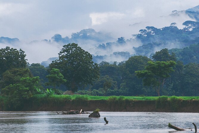 From San José: Carara National Park and Tárcoles River Tour - What to bring (and how to get more from it)