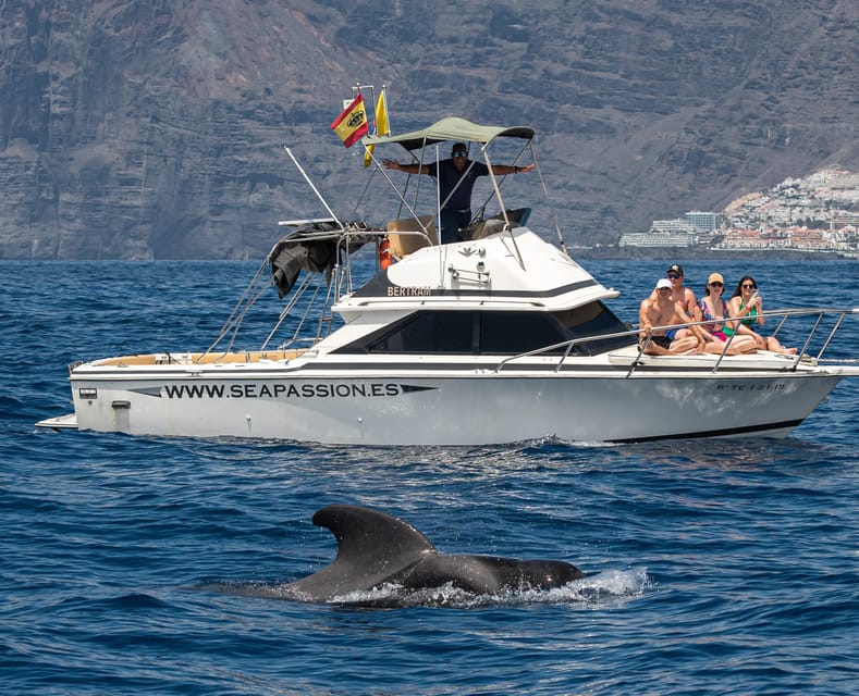 From San Juan beach : Marine Life Cruise - Your 3-Hour Timeline: What Typically Happens
