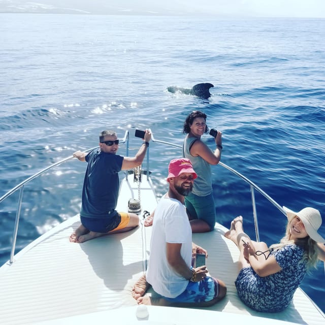 From San Juan beach : Marine Life Cruise - Price Check: Is $77 a Fair Deal?