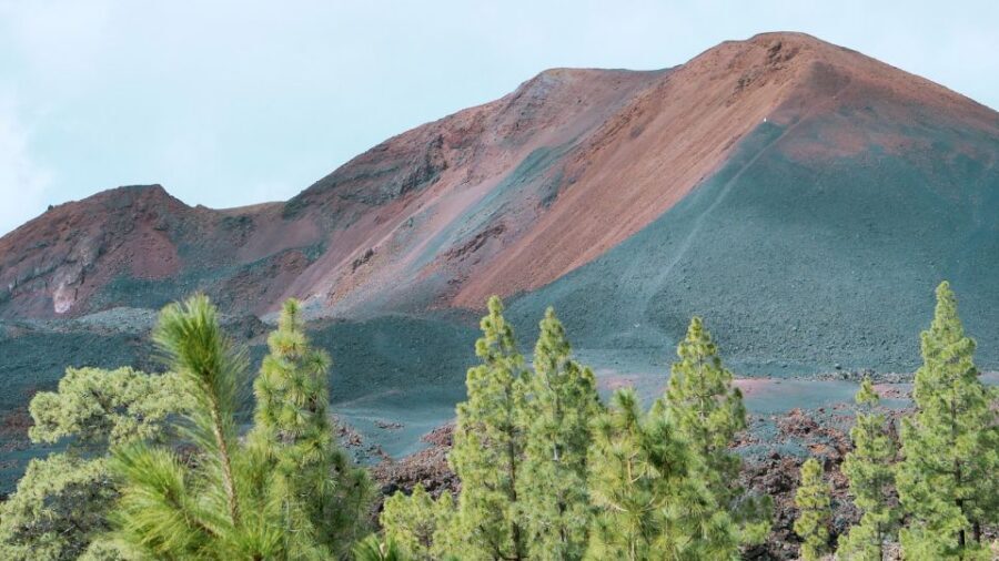 From Santa Cruz: Teide Volcano, Icod, & Garachico Tour - Icod de los Vinos and the Drago Milenario