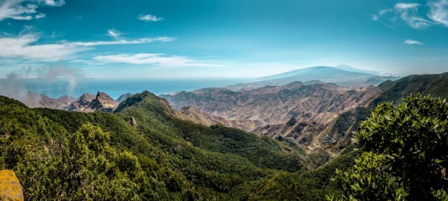 From Santa Cruz: Teide Volcano, Icod, & Garachico Tour - What you’re paying about $85 and why it can be good value