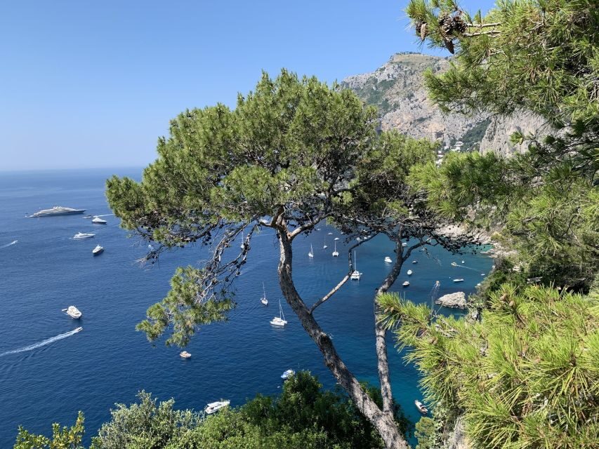 From Sorrento: Day Trip to Capri & Anacapri with Blue Grotto - Starting Point at Molo ’52: How the day gets rolling