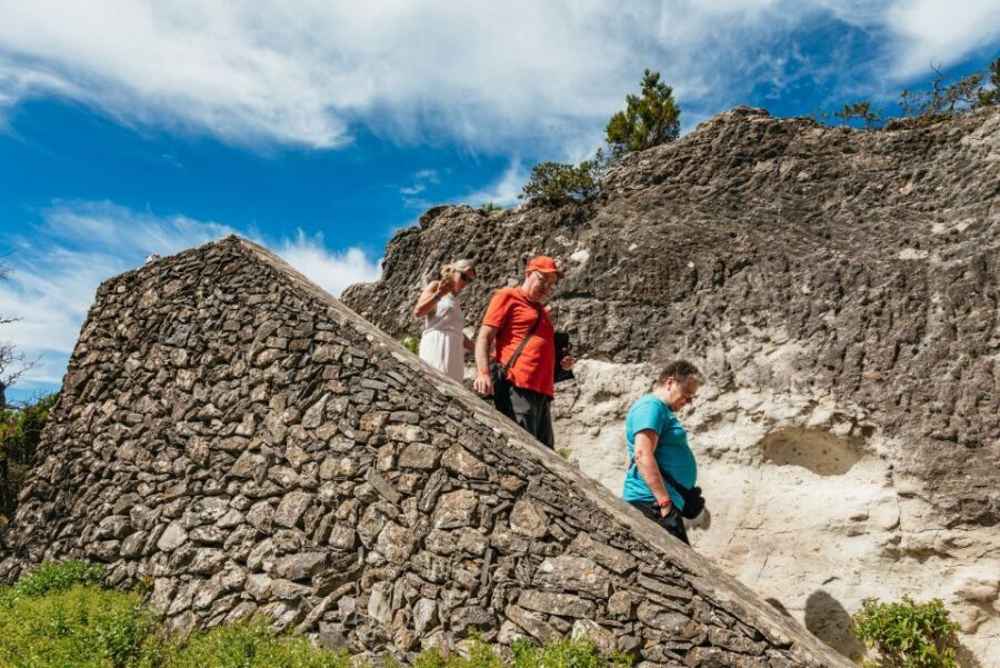 From South Tenerife: La Gomera Island Day Trip with Lunch - Should You Book This La Gomera Day Trip From South Tenerife?