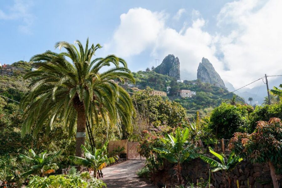 From South Tenerife: La Gomera Island Day Trip with Lunch - Price and Value: What $124 Covers and Who It’s For