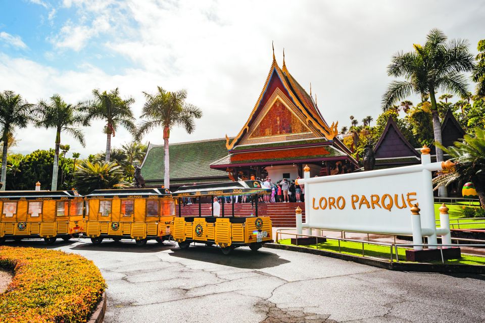From South Tenerife: Loro Park Zoo Ticket & Hotel Transfers - South Tenerife convenience vs. a long bus day