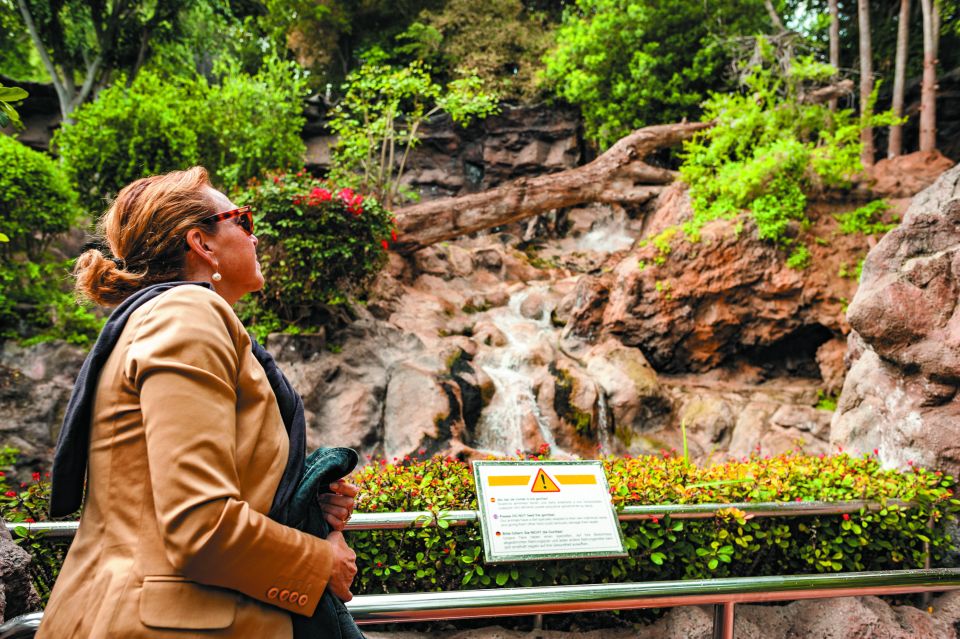 From South Tenerife: Loro Park Zoo Ticket & Hotel Transfers - Orca Ocean shows: killer whales, dolphins, and sea lions