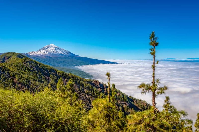 From South Tenerife: Mount Teide Hiking Day Trip & Cable Car - Group size, guide style, and why names keep popping up