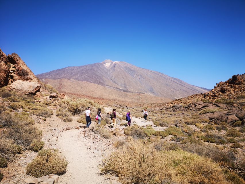 From South Tenerife: Teide National Park Tour - A half-day Teide plan that stays focused on what matters