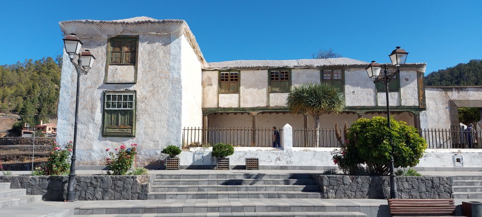 From South Tenerife: Teide National Park Tour - Pine forest stop and El Pino Gordo photo break