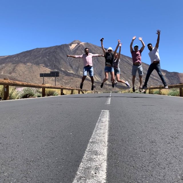 From South Tenerife: Teide National Park Tour - Pickup from Costa Adeje, Playa de las Américas, and Los Cristianos