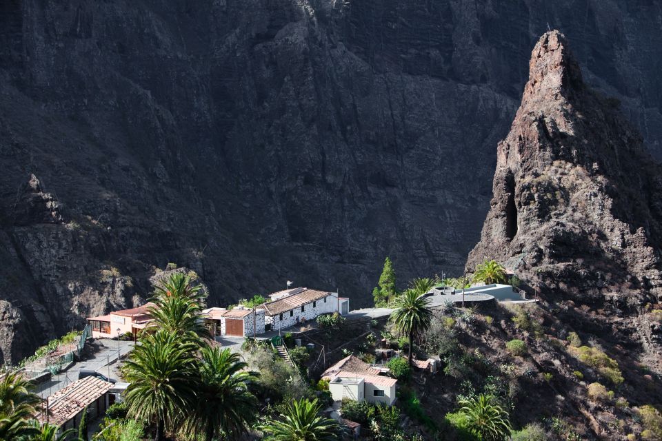 From South Tenerife: VIP Grand Tour Tenerife island - Quick hits on the VIP Grand Tour Tenerife