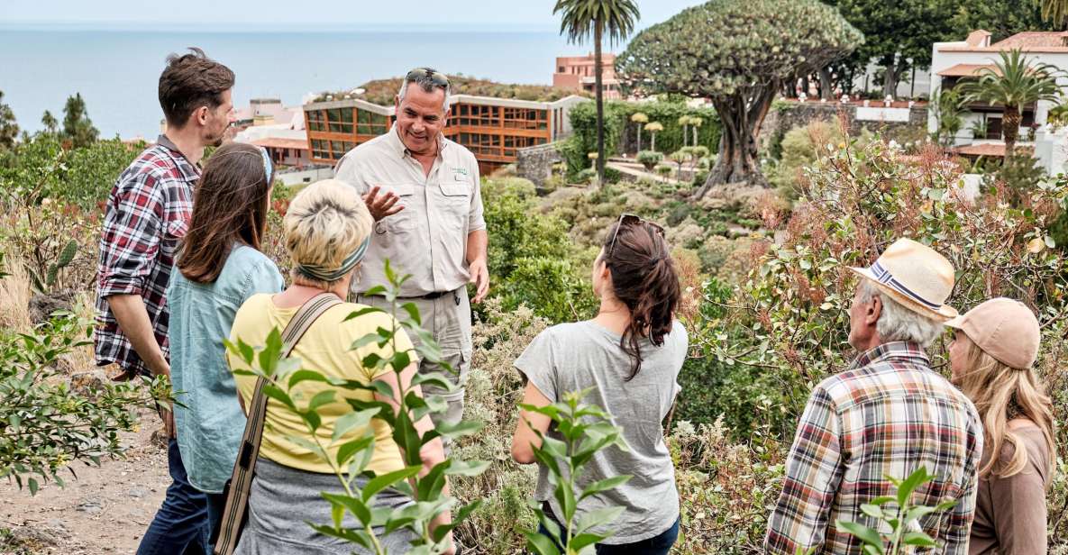 From South Tenerife: VIP Grand Tour Tenerife island - VIP minivan day: the kind of Tenerife trip that actually fits