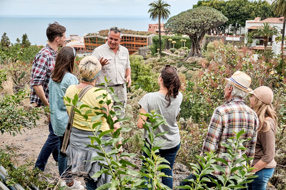From South Tenerife: VIP Grand Tour Tenerife island - Where you meet and how the day starts in Costa Adeje