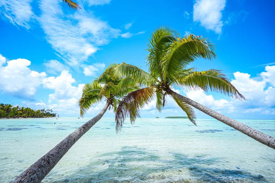 From Tahiti: Tetiaroa Island Tour by Sailing Catamaran - Catamaran timing reality: fast, big, and often motoring