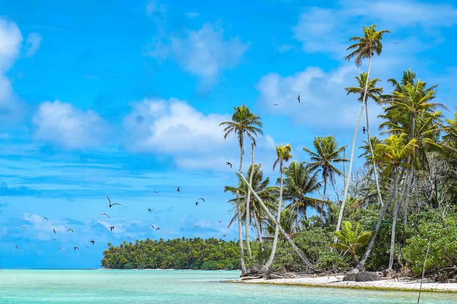 From Tahiti: Tetiaroa Island Tour by Sailing Catamaran - 5:45 AM wake-up: breakfast first, then the ride