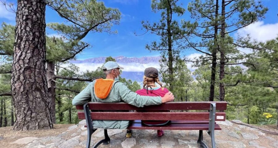 From Tenerife: Day Trip to La Palma Volcanic Landscapes - Caldera de Taburiente National Park: where geology turns into scenery