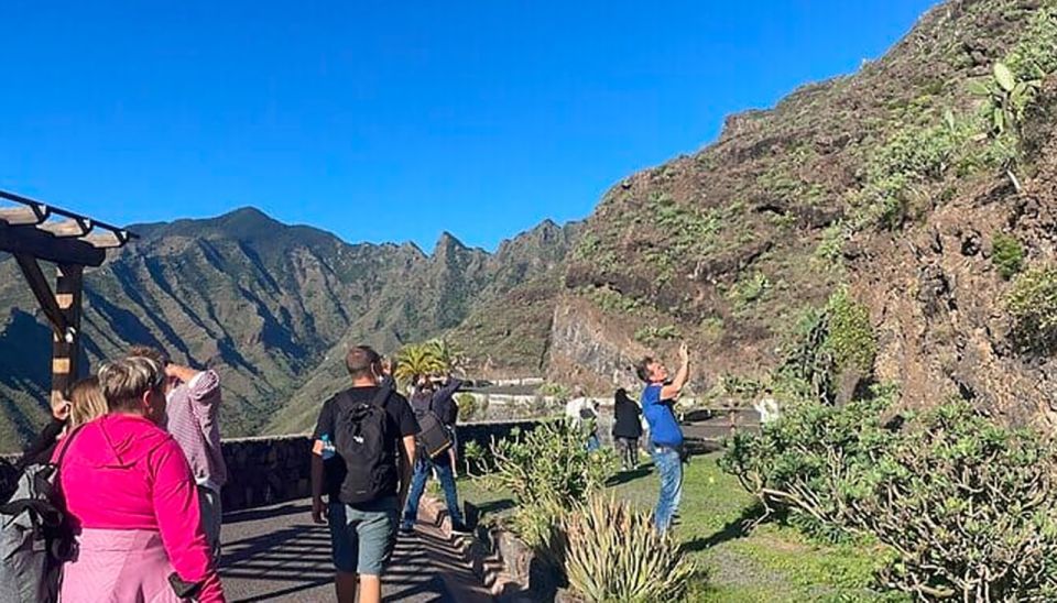 From Tenerife: La Gomera Day Trip with Guide - Garajonay National Park: Walking the Moss-Covered Laurel Forest