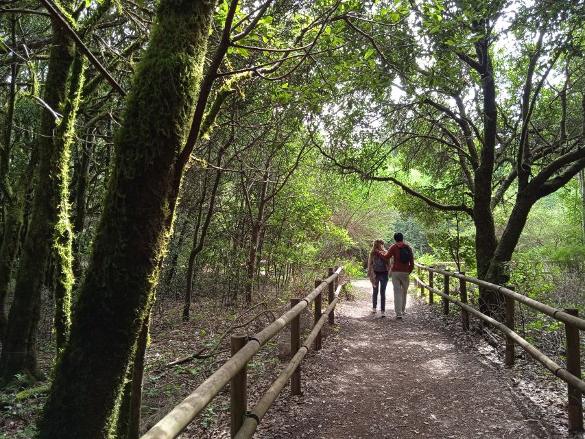 From Tenerife: La Gomera Day Trip with Guide - Price and Value for $112: What You’re Paying For