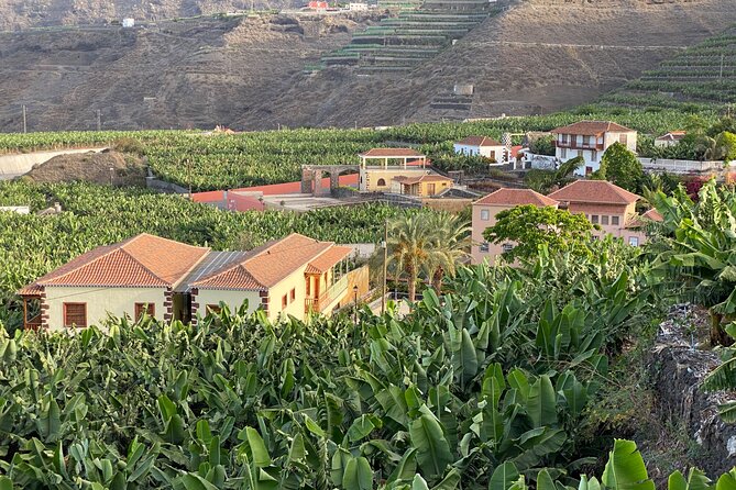 From Tenerife: Tajogaite Volcano, La Cumbrecita and Casco Antiguo - Expect a long day: tips to make the schedule work for you