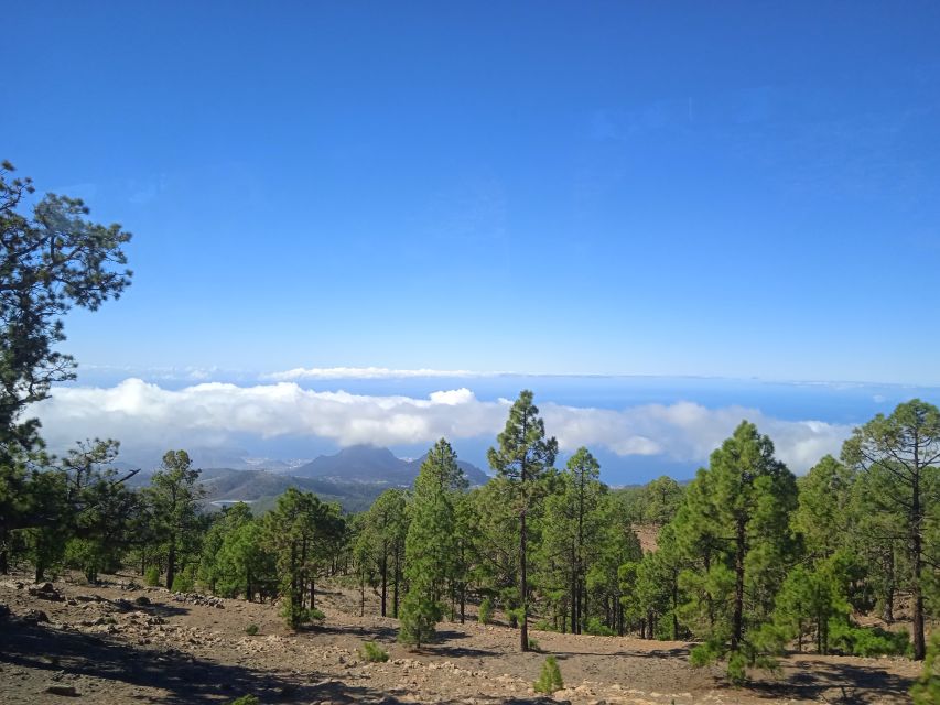 From Tenerife: Teide National Park Guided Day Trip by Bus - Key Teide National Park Bus Trip Takeaways